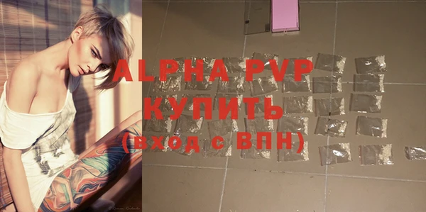 мдпв Бородино