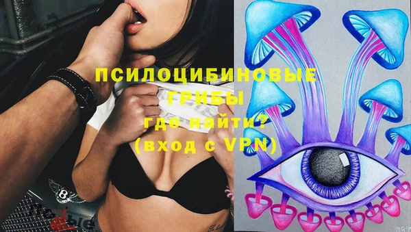 мдпв Бородино