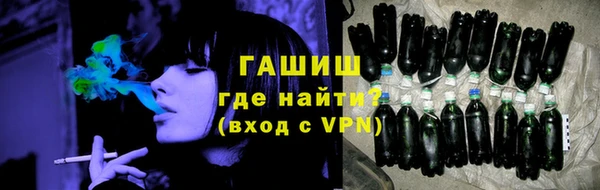 мдпв Бородино
