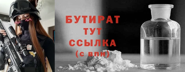 мдпв Бородино