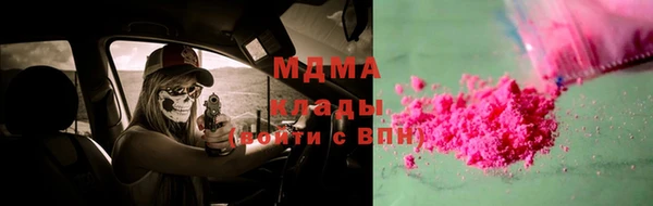 мдпв Бородино