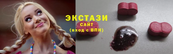 мдпв Бородино